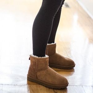 Ugg classic mini boots in chestnut